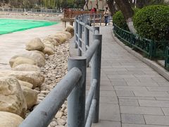 -莲湖公园