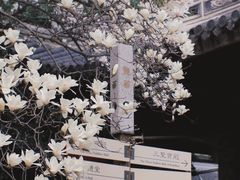 -龙华寺