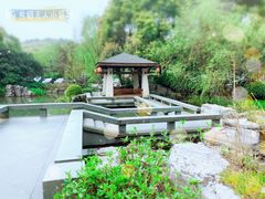 -桐庐开元名都大酒店