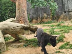 -杭州野生动物世界