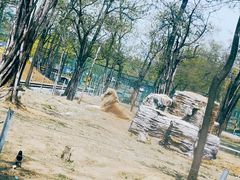 -秦皇岛野生动物园