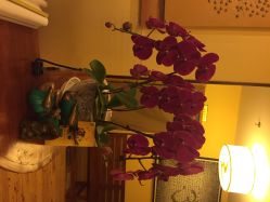 梵音瑜伽(旺座店)-FineYoga梵音瑜伽·普拉提