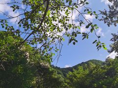 -驼梁风景区