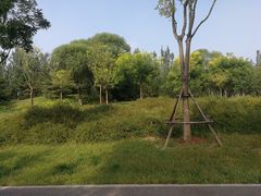 -东郊湿地公园
