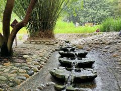 -成都市活水公园