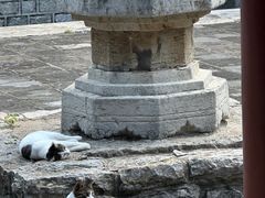 -四门塔风景区