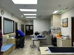 -美联众合动物医院·24h转诊中心
