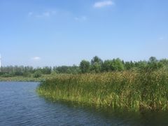 -溱湖国家湿地公园