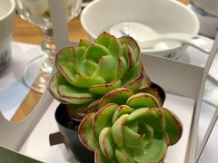 -四季餐厅(华苑店)