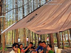 -桤木河湿地公园