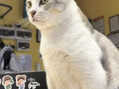-谜盒子奇幻密室(南屏店)