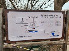 -洛阳白马寺
