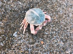 -嵊泗基湖沙滩