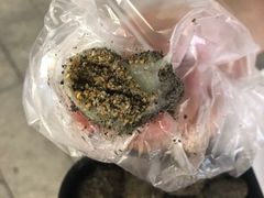 -叶氏麻糍(鼓浪屿店)