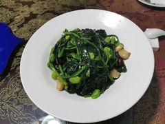 -蒙古大营·蒙古演绎餐厅(赛马场店)