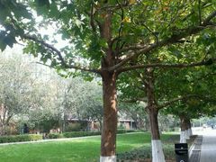 -BK博·康健身(金地格林小镇店)