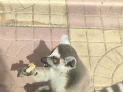 -石家庄市动物园