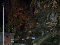 -大理地热国