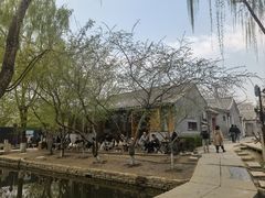 -春风习习