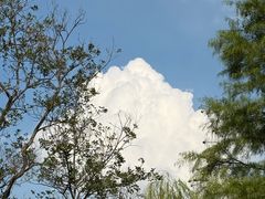 -无锡动物园·太湖欢乐园