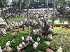 -东芭乐园