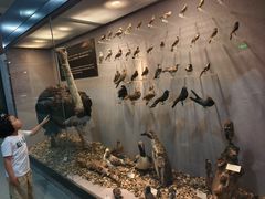 -烟台自然博物馆