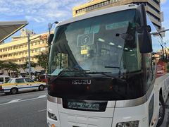 -招商蛇口邮轮母港(观光客运)