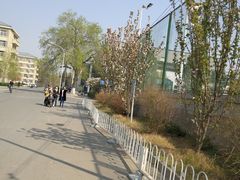 -北京大学-二体网球场