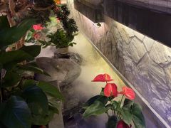 -首秀·四川料理(星耀101店)