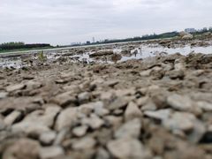 -郑东新区龙湖公共艺术中心