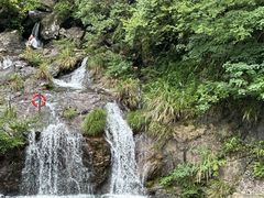 -长谷洞天