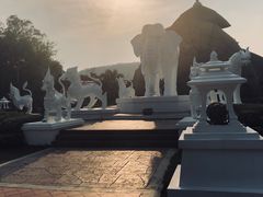 -清迈夜间动物园