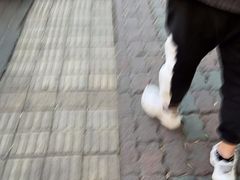 -老字号故乡烤肉店(总店)