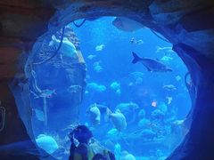 -郑州银基国际旅游度假区