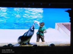 -哈尔滨波塞冬海底世界