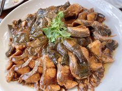-丽泽山庄·生态怀柔菜·虹鳟鱼(红螺寺店)