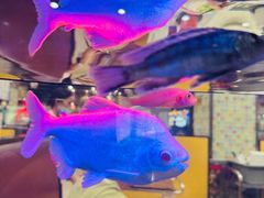 -新辉港式茶餐厅(北栅店)