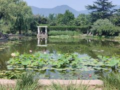 -北京植物园南门售票处