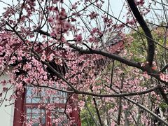 -堤角公园