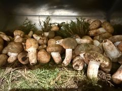 -一坐一忘云南菜(卓悦中心)