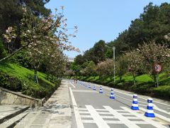 -铁山坪森林公园