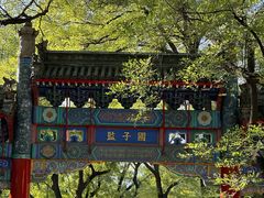 -北京国子监胡同
