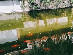 -浙江省博物馆(孤山馆区)