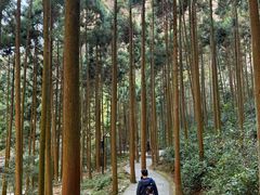 -雁荡山风景名胜区