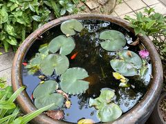 -默迹咖啡馆