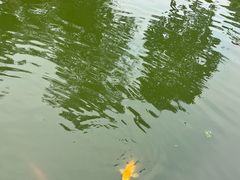 -苏州文庙(姑苏区)