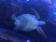 -多彩贵州城极地海洋世界