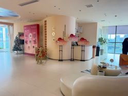 -哈喽美妈产后恢复中心(乐堤港店)