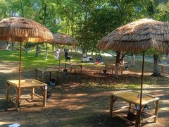 -长白岛森林公园