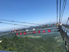 -梦幻奥陶纪景区